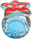Фото Intex Lil' Star Shade Baby (57428)