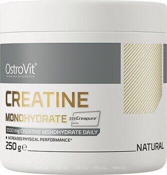 Фото OstroVit Creatine Monohydrate Creapure 250 г