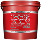 Фото Scitec Nutrition 100% Whey Protein Professional LS 5000 г