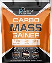 Фото Powerful Progress Carbo Mass Gainer 2000 г Blueberry Cheesecake