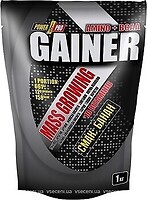 Фото Power Pro Gainer 1 кг Wild Berries