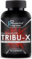 Фото Powerful Progress Tribu-X 90 капсул