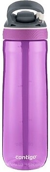 Фото Contigo Ashland (2106518)