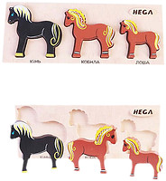 Фото Hega Коні (122)