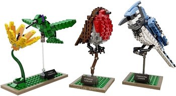 Фото LEGO Ideas Птицы (21301)