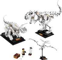 Фото LEGO Ideas Скам'янілості динозаврів (21320)