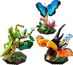 Фото LEGO Ideas Колекція комах (21342)