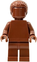 Фото LEGO Exclusive Everyone is Awesome - Reddish Brown (tls101)