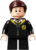 Фото LEGO Harry Potter Justin Finch-Fletchley (hp306)