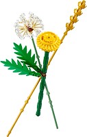 Фото LEGO Botanicals Польові квіти (30701)