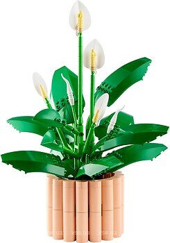 Фото LEGO Botanicals Спатифілум (11504)