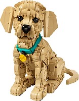 Фото LEGO Icons Цуценя золотистого ретривера (11384)
