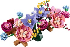 Фото LEGO Botanicals Квіткова стіна (11503)
