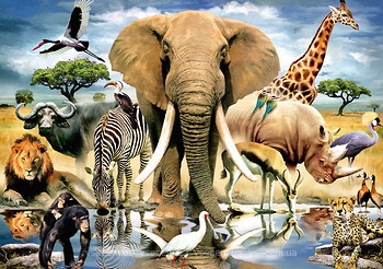 Фото Step Puzzle В мире животных (83042)