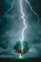 Фото Eurographic Блискавка ударяє в дерево (6000-4570)