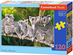Фото Castorland Коали (B-13289)