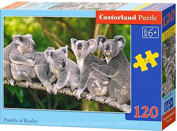 Фото Castorland Коали (B-13289)