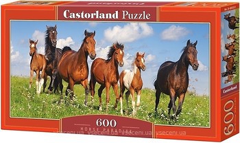 Фото Castorland Коні (B-060351)