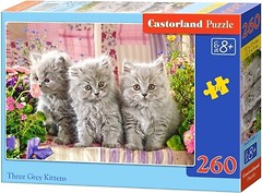 Фото Castorland Три сірих кошеня (B-27491)