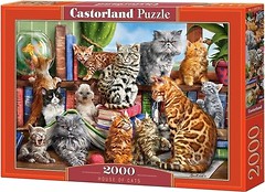 Фото Castorland Кішки (C-200726)