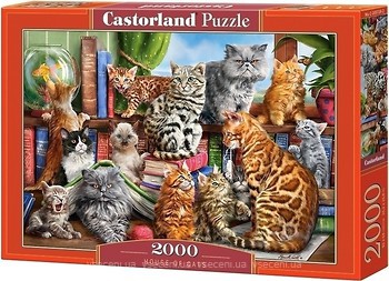 Фото Castorland Кішки (C-200726)