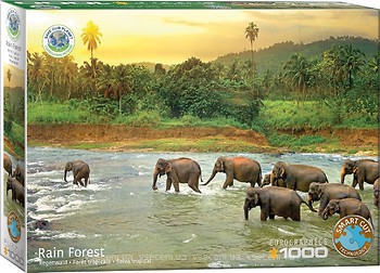 Фото Eurographic Тропічний ліс серія Врятуємо нашу планету (6000-5540)