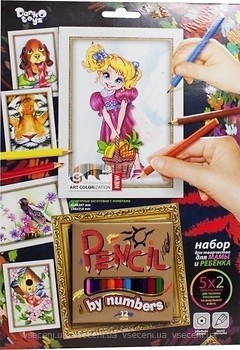 Фото Danko Toys Pencil by number Девочка (PBN-01-10)