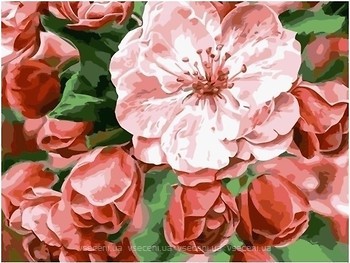 Фото ArtStory Бархатные цветы (AS0239)