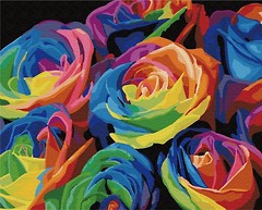 Фото Brushme Радужные розы (G057)