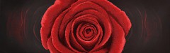 Фото Miniart Crafts Красная роза (11004)