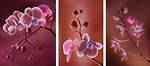 Фото Miniart Crafts Триптих Розовые орхидеи (11006)