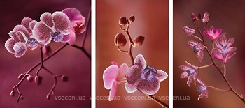 Фото Miniart Crafts Триптих Рожеві орхідеї (11006)