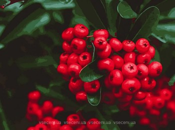 Фото ArtCraft Красные ягоды (12011)