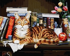 Фото Brushme Кіт на книжковий полиці (GX4142)