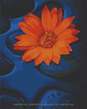 Фото ArtCraft Квітка лотоса (13124)