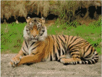 Фото Strateg Смугастий тигр (HX234)