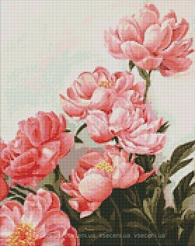 Фото Идейка Алмазная мозаика Букет розовых пионов (AMO7274)