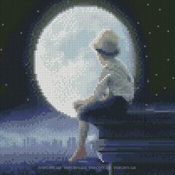 Фото Strateg Алмазна мозаїка Хлопчик в місячному світлі (CA-0044)
