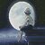 Фото Strateg Алмазная мозаика Мальчик в лунном свете (CA-0044)