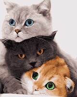 Фото Artissimo Три кота (PN4201)