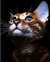 Фото Strateg Рыжий котик (VA-3624)