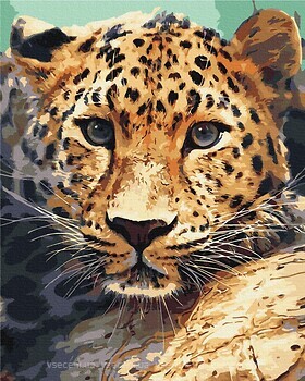 Фото Brushme Портрет леопарда (BS51736)