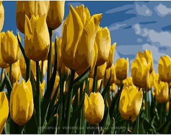 Фото Strateg Поле жовтих тюльпанів (GS260)