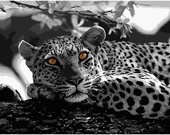Фото Strateg Чорно-білий леопард (GS051)