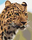 Фото Brushme Плямистий леопард (BS52449)