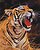 Фото Brushme Рычание тигра (BS52414)