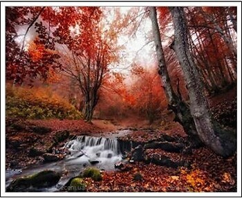 Фото Josef-Otten Лісовий струмок (1447EKTL_O)