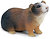 Фото Schleich-s Гвинейская свинка (14417)