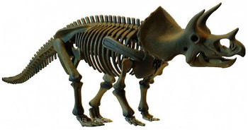 Фото Dino Horizons Тріцератопс скелет (D502)
