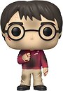 Фото Funko Pop! Harry Potter with The stone (57366)